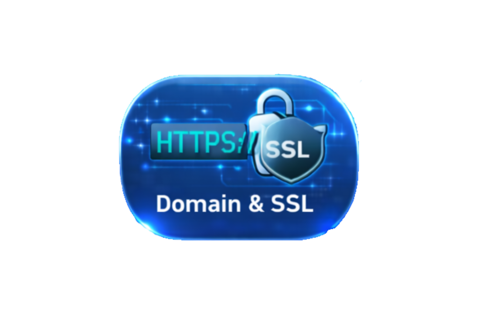 domain ssl
